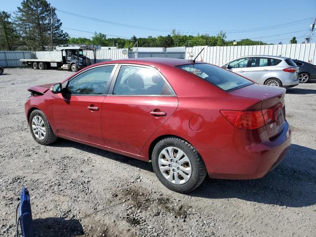 Photo 2 from auction – 2010 KIA FORTE EX with VIN KNAFU4A25A5245660