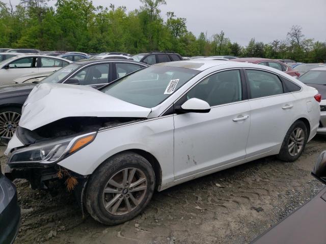 HYUNDAI SONATA SE 2016 with VIN 5NPE24AF4GH364641 - Photo from auction