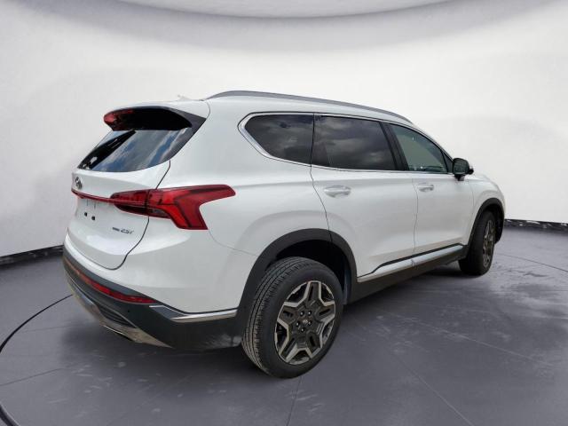 Photo 3 from auction – 2023 HYUNDAI SANTA FE L with VIN 5NMS4DAL7PH522597