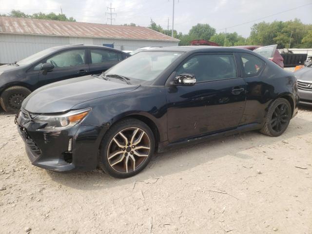TOYOTA SCION TC 2016 with VIN JTKJF5C76GJ023921 - Photo from auction