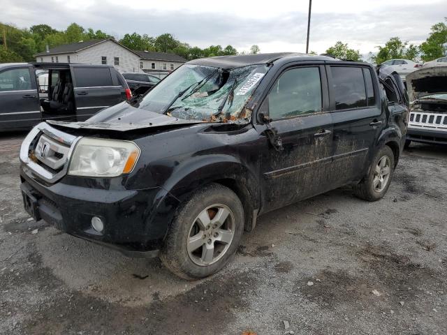 HONDA PILOT EX 2010 with VIN 5FNYF4H41AB005615 - Photo from auction