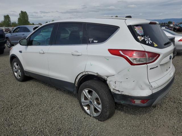 Photo 2 from auction – 2013 FORD ESCAPE SE with VIN 1FMCU9GX3DUB85941