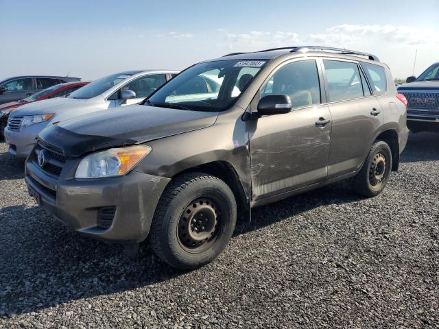 TOYOTA RAV4 2009 with VIN 2T3BF33V09W024002 - Photo from auction