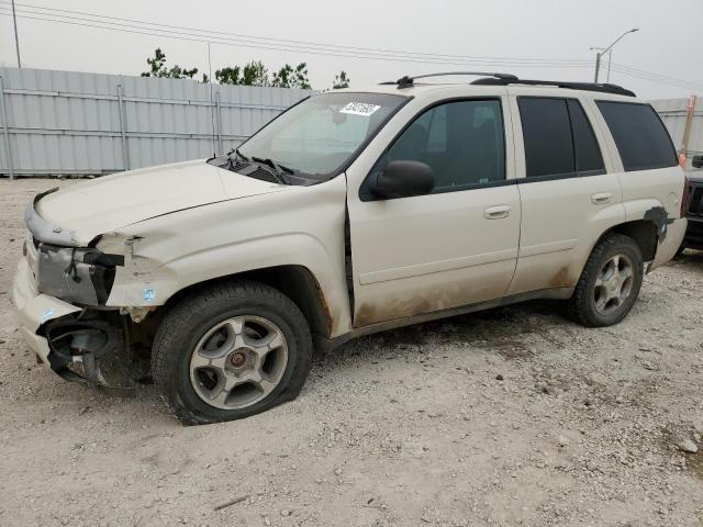 Photo 1 from auction – 2009 CHEVROLET TRAILBLAZE with VIN 1GNDT33S992121464