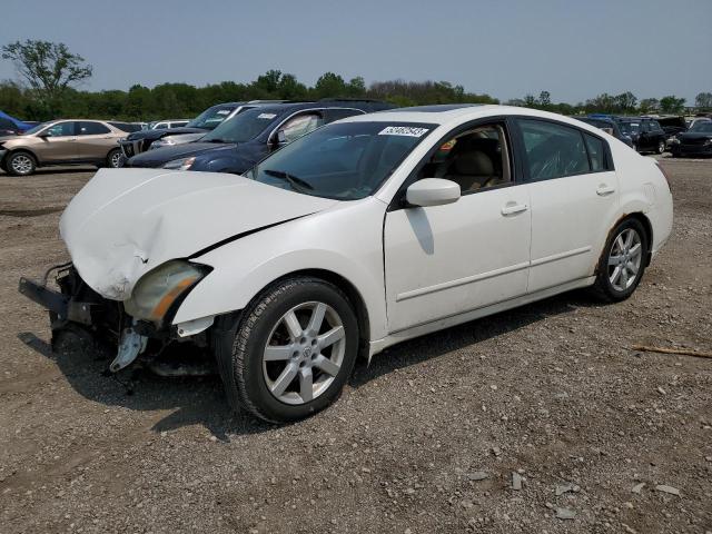 NISSAN MAXIMA SE 2006 with VIN 1N4BA41E86C814675 - Photo from auction