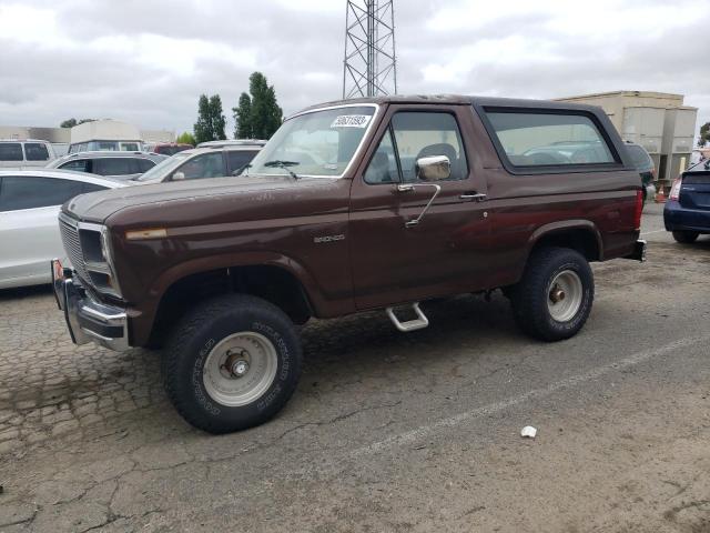 FORD BRONCO U10 1982 with VIN 1FMDU15E6CLA68561 - Photo from auction