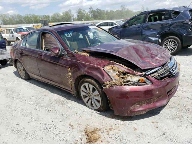 Photo 4 from auction – 2012 HONDA ACCORD EXL with VIN 1HGCP2F80CA177861