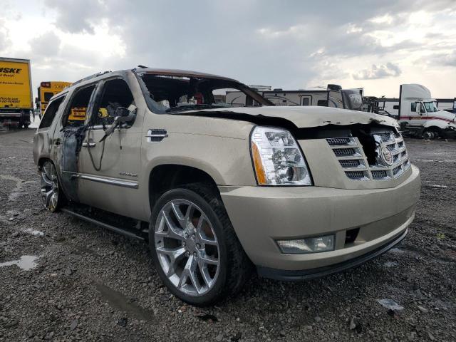 Снимка 4 от търг – 2010 CADILLAC ESCALADE P с VIN 1GYUKCEF2AR159443