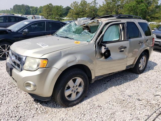 FORD ESCAPE XLT 2011 with VIN 1FMCU0D78BKB45783 - Photo from auction