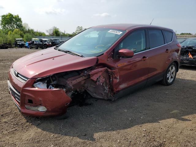 FORD ESCAPE SE 2014 with VIN 1FMCU0GX4EUD85773 - Photo from auction