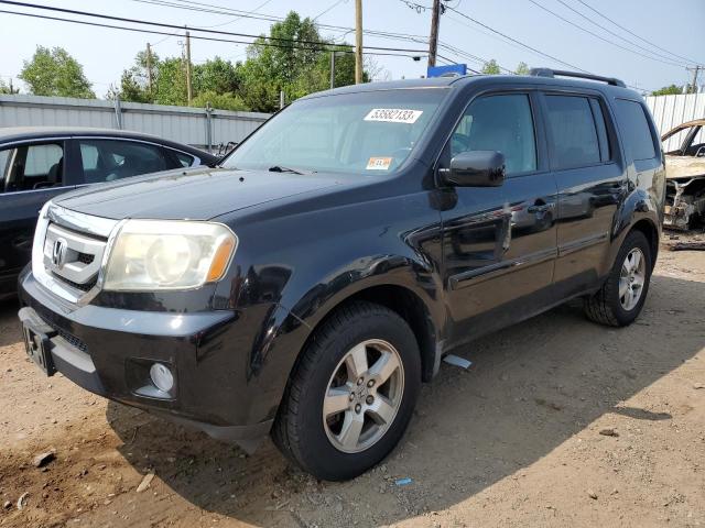 HONDA PILOT EXL 2009 with VIN 5FNYF48559B031185 - Photo from auction