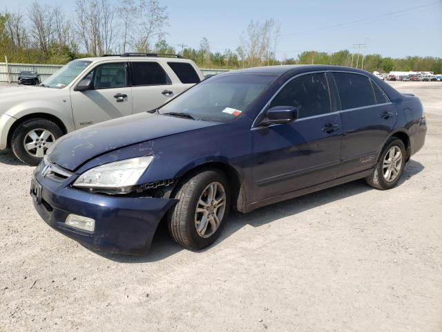 HONDA ACCORD EX 2007 with VIN 1HGCM56837A026982 - Photo from auction