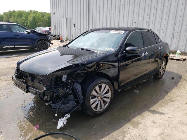 HONDA ACCORD EXL 2011 with VIN 1HGCP3F81BA014804 - Photo from auction