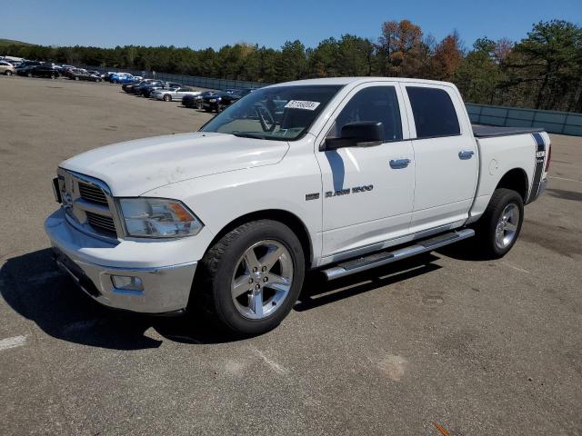 DODGE RAM 1500 2011 with VIN 1D7RV1CT7BS503137 - Photo from auction