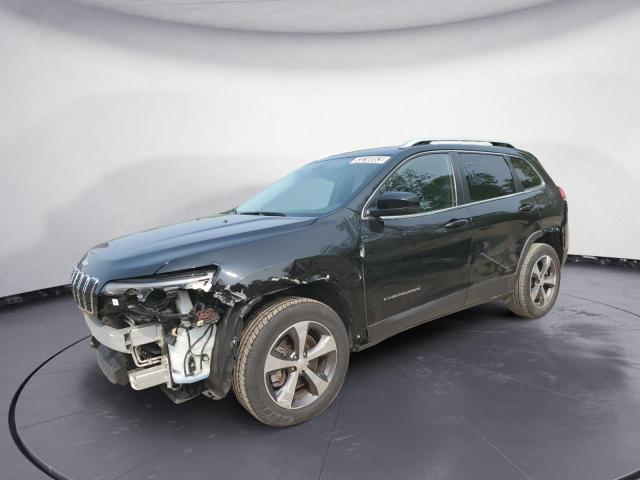 JEEP CHEROKEE L 2019 with VIN 1C4PJMDN3KD167067 - Photo from auction