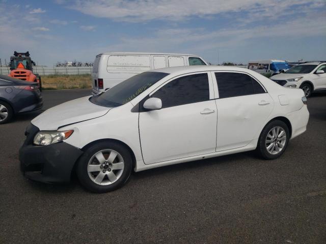TOYOTA COROLLA BA 2010 with VIN 2T1BU4EE7AC523659 - Photo from auction
