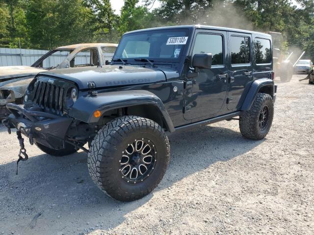 JEEP WRANGLER U 2016 with VIN 1C4BJWFG3GL218326 - Photo from auction