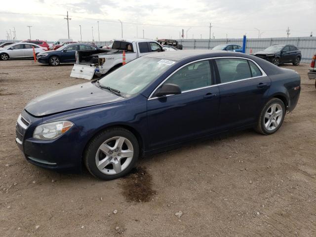 CHEVROLET MALIBU LS 2011 with VIN 1G1ZA5EU3BF339535 - Photo from auction