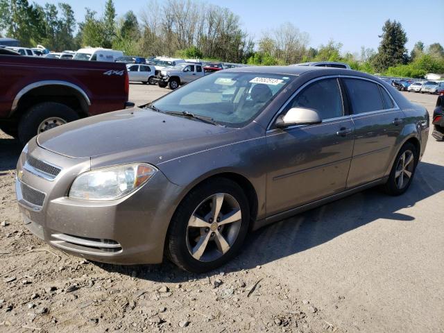 CHEVROLET MALIBU 1LT 2011 with VIN 1G1ZC5EU8BF353652 - Photo from auction