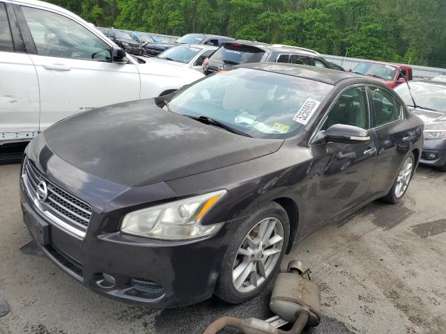 NISSAN MAXIMA S 2010 with VIN 1N4AA5AP4AC811462 - Photo from auction