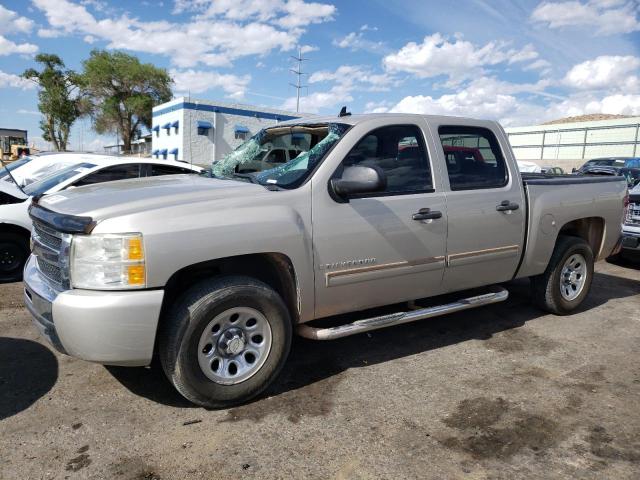 CHEVROLET SILVERADO 2009 with VIN 3GCEC23C29G184820 - Photo from auction