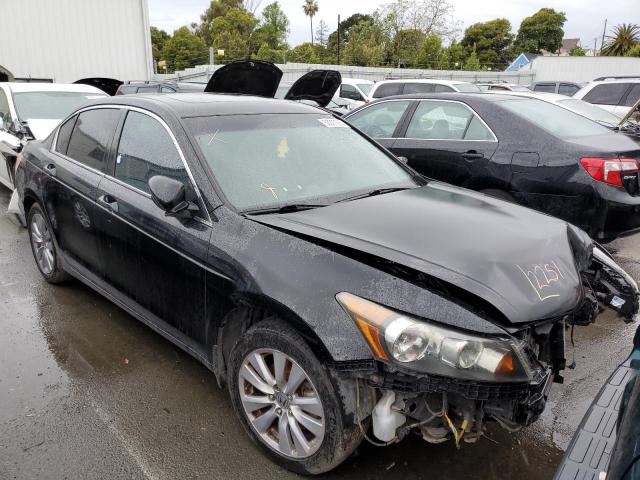 Photo 4 from auction – 2011 HONDA ACCORD EXL with VIN 1HGCP2F85BA004240
