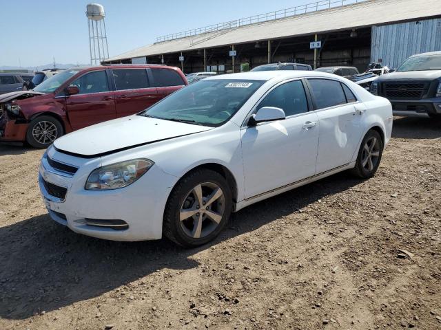 CHEVROLET MALIBU 1LT 2011 with VIN 1G1ZC5EU9BF354471 - Photo from auction