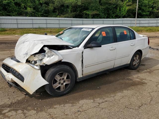 CHEVROLET MALIBU LS 2005 with VIN 1G1ZT54885F146249 - Photo from auction