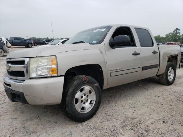 CHEVROLET SILVERADO 2009 with VIN 2GCEK23C091137832 - Photo from auction