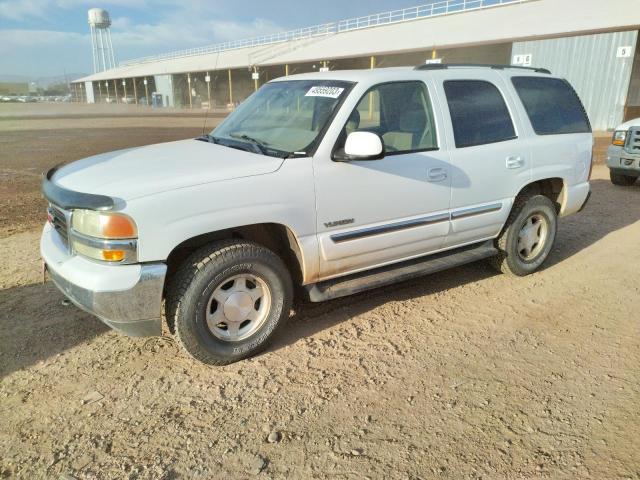 GMC YUKON 2003 with VIN 1GKEK13Z33J118725 - Photo from auction