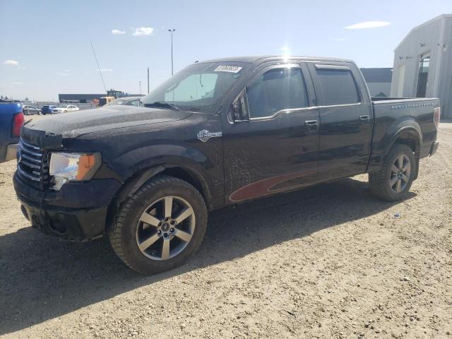 FORD F150 SUPER 2010 with VIN 1FTFW1EV2AFC18474 - Photo from auction
