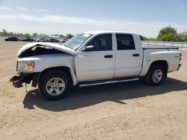 DODGE DAKOTA SLT 2011 with VIN 1D7RW3GK9BS504607 - Photo from auction