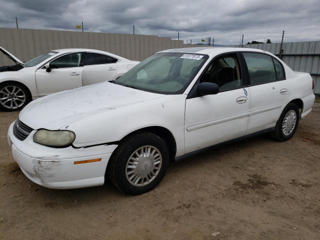 CHEVROLET MALIBU 2001 with VIN 1G1ND52J216231891 - Photo from auction