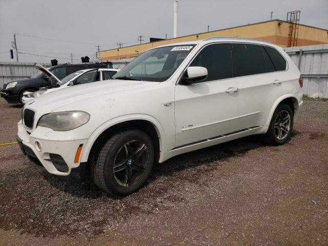 BMW X5 XDRIVE3 2011 with VIN 5UXZV4C53BL409147 - Photo from auction