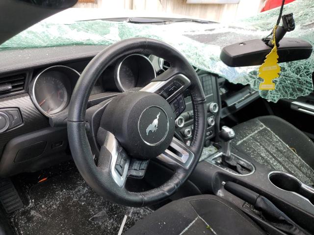 Photo 8 from auction – 2019 FORD MUSTANG with VIN 1FA6P8THXK5201213