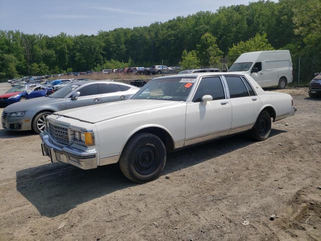 CHEVROLET CAPRICE CL 1984 with VIN 2G1AN69H7E9123754 - Photo from auction