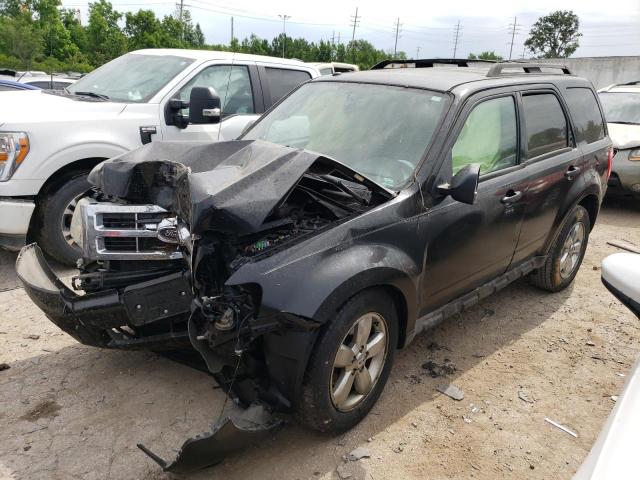 FORD ESCAPE XLT 2009 with VIN 1FMCU03G59KC47988 - Photo from auction