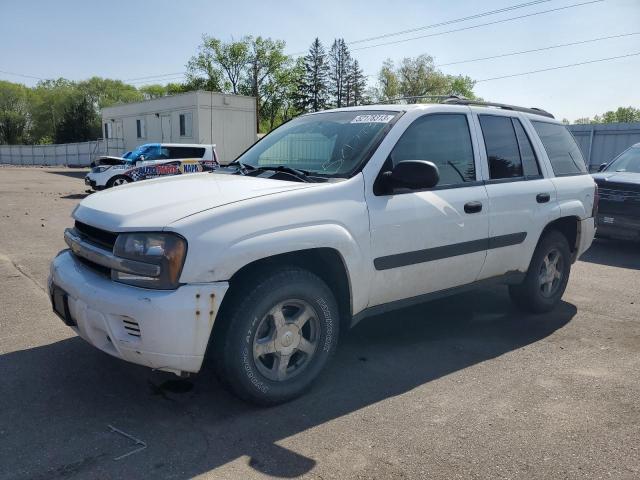 CHEVROLET TRAILBLAZE 2005 with VIN 1GNDT13S952266261 - Photo from auction