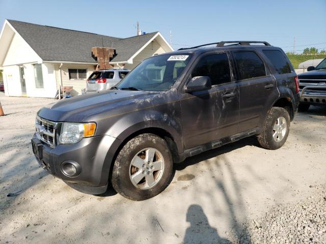 FORD ESCAPE XLT 2011 with VIN 1FMCU0D70BKA06277 - Photo from auction