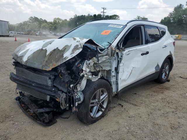 HYUNDAI SANTA FE S 2017 with VIN 5NMZU3LB2HH024516 - Photo from auction