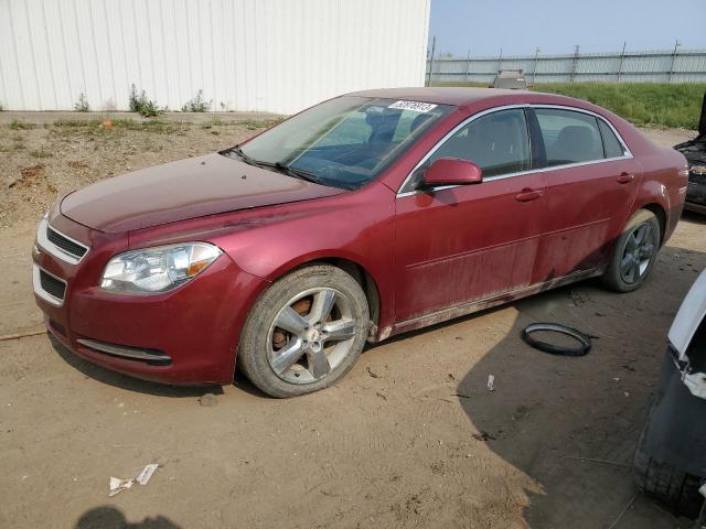 Photo 1 from auction – 2011 CHEVROLET MALIBU 1LT with VIN 1G1ZC5E18BF212957
