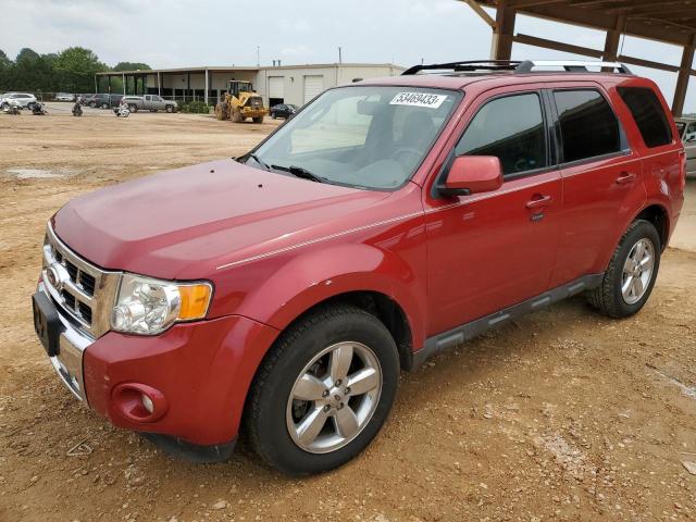 FORD ESCAPE LIM 2010 with VIN 1FMCU0EG8AKC68089 - Photo from auction