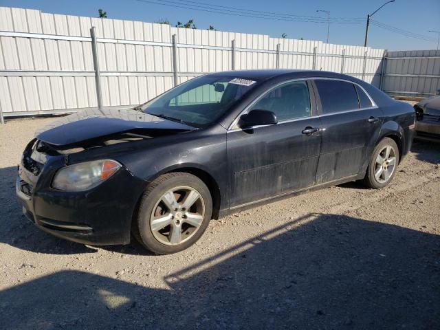 CHEVROLET MALIBU 2LT 2010 with VIN 1G1ZD5E02AF203240 - Photo from auction