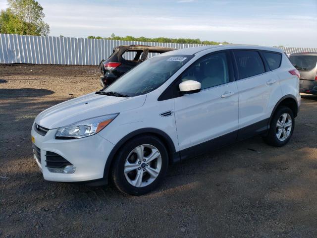 FORD ESCAPE SE 2016 with VIN 1FMCU0G7XGUA63044 - Photo from auction
