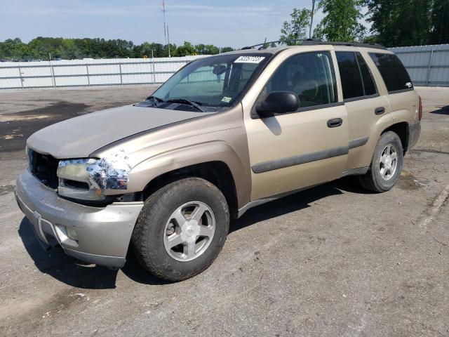 CHEVROLET TRAILBLAZE 2005 with VIN 1GNDT13S452108491 - Photo from auction