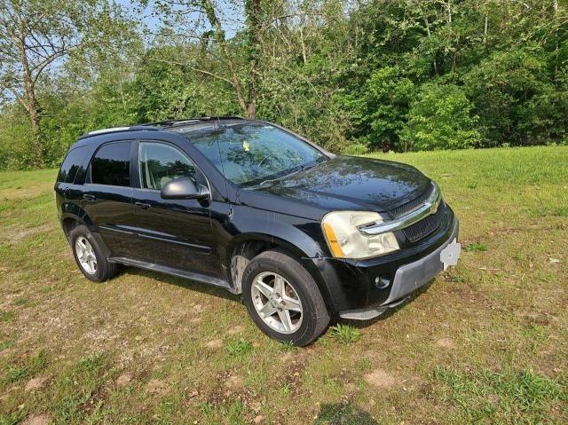 CHEVROLET EQUINOX LT 2005 with VIN 2CNDL73F756060174 - Photo from auction