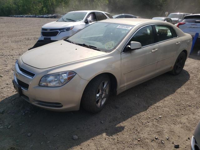 CHEVROLET MALIBU 2010 with VIN 1G1ZC5EB8AF137541 - Photo from auction