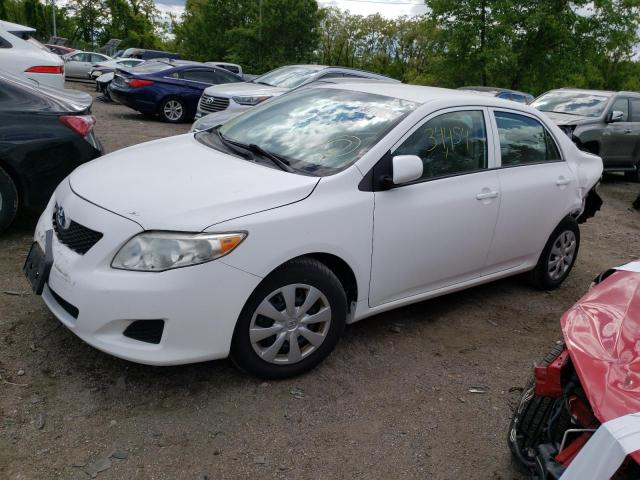 TOYOTA COROLLA BA 2010 with VIN 1NXBU4EE4AZ338435 - Photo from auction