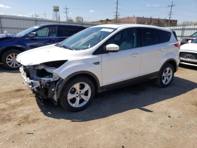 FORD ESCAPE SE 2014 with VIN 1FMCU0GX1EUD99159 - Photo from auction