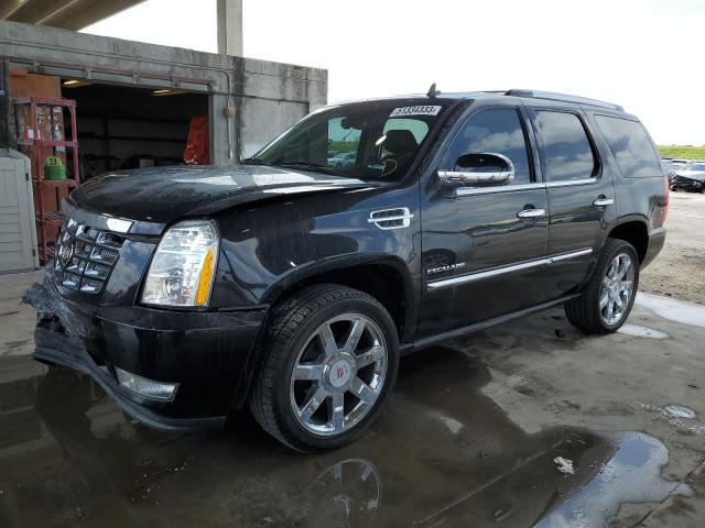 CADILLAC ESCALADE P 2010 with VIN 1GYUCCEF4AR120155 - Photo from auction